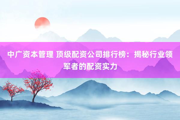 中广资本管理 顶级配资公司排行榜：揭秘行业领军者的配资实力