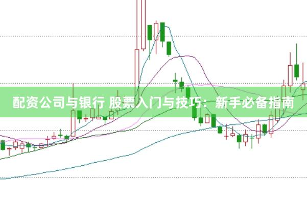 配资公司与银行 股票入门与技巧：新手必备指南