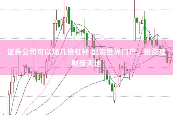 证券公司可以加几倍杠杆 配资世界门户，投资理财新天地