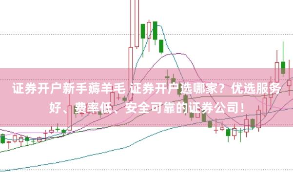 证券开户新手薅羊毛 证券开户选哪家？优选服务好、费率低、安全可靠的证券公司！