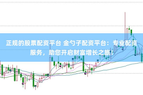 正规的股票配资平台 金勺子配资平台：专业配资服务，助您开启财富增长之旅！