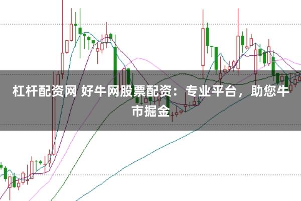 杠杆配资网 好牛网股票配资：专业平台，助您牛市掘金