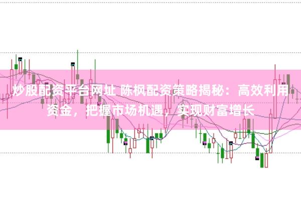 炒股配资平台网址 陈枫配资策略揭秘：高效利用资金，把握市场机遇，实现财富增长