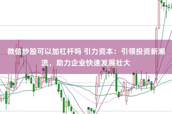 微信炒股可以加杠杆吗 引力资本：引领投资新潮流，助力企业快速发展壮大