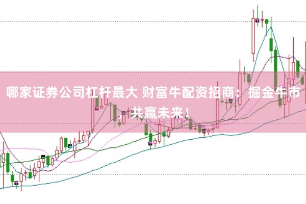 哪家证券公司杠杆最大 财富牛配资招商：掘金牛市，共赢未来！