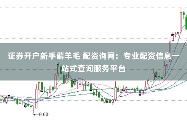 证券开户新手薅羊毛 配资询网：专业配资信息一站式查询服务平台