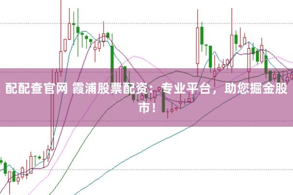 配配查官网 霞浦股票配资：专业平台，助您掘金股市！