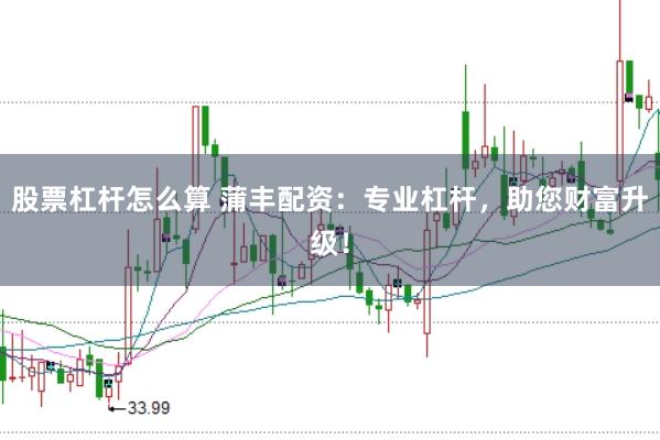 股票杠杆怎么算 蒲丰配资：专业杠杆，助您财富升级！