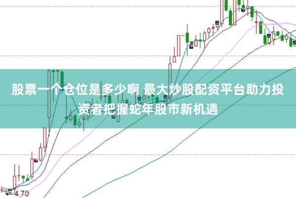 股票一个仓位是多少啊 最大炒股配资平台助力投资者把握蛇年股市新机遇