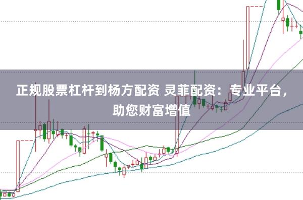 正规股票杠杆到杨方配资 灵菲配资：专业平台，助您财富增值