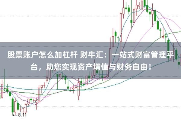 股票账户怎么加杠杆 财牛汇：一站式财富管理平台，助您实现资产增值与财务自由！