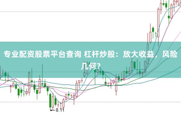 专业配资股票平台查询 杠杆炒股:放大收益,风险几何?